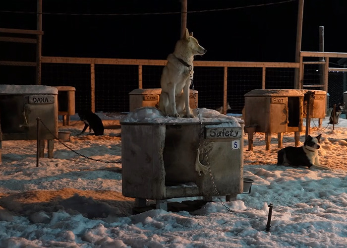 Content Creator Reveals 8 Most Surprising Facts About The “World’s Darkest Island,” Including How Residents Live