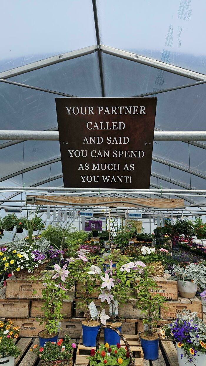 55 Bizarre, Absurd, And Hilarious Signs You Don&rsquo;t See Every Day (New Pics)