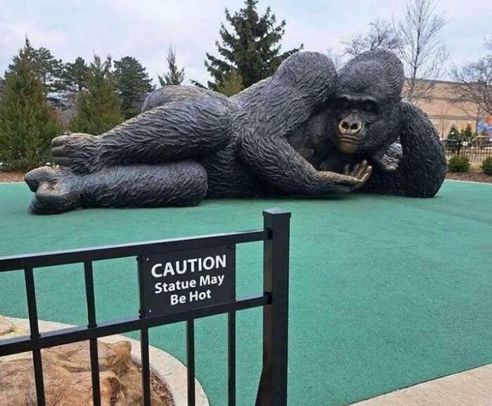 55 Bizarre, Absurd, And Hilarious Signs You Don&rsquo;t See Every Day (New Pics)