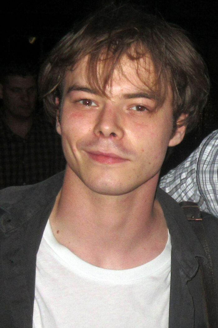 Charlie Heaton: Bio And Career Highlights