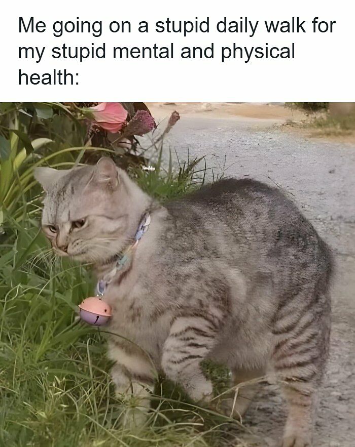 43 Healthcare Memes That You Might Enjoy, Unless You’re From The US