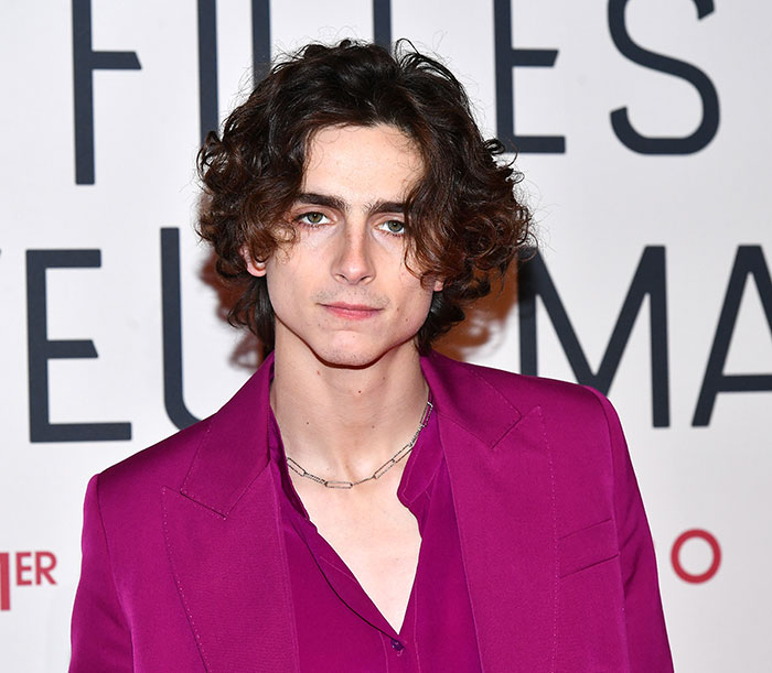“He Was Forced”: Publicist Makes Disturbing Claim About Timothée Chalamet In Epstein Files