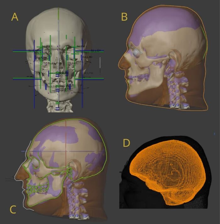 A Scientist Used Skull Scans And Portraits To Recreate The Faces Of Mozart, Bach, And Beethoven