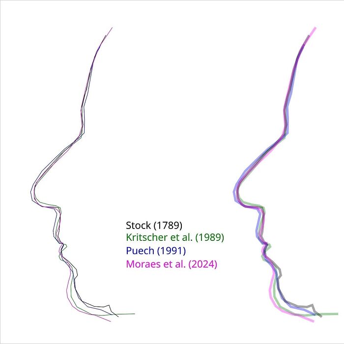 A Scientist Used Skull Scans And Portraits To Recreate The Faces Of Mozart, Bach, And Beethoven