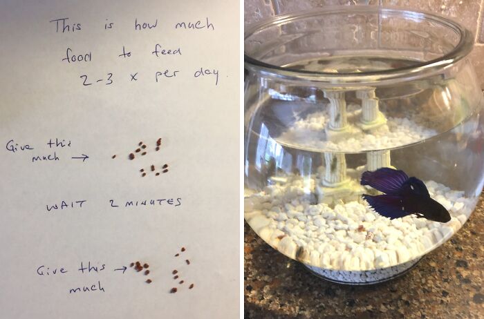 44 Creative And Amusing Notes Left By Parents