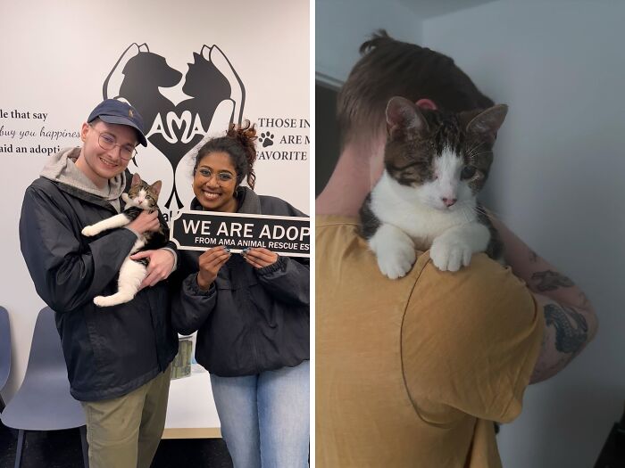 30 Adopted Animals Whose Before-And-After Stories Show The Power Of Second Chances 30 Adopted Animals Whose Before-And-After Stories Show The Power Of Second Chances