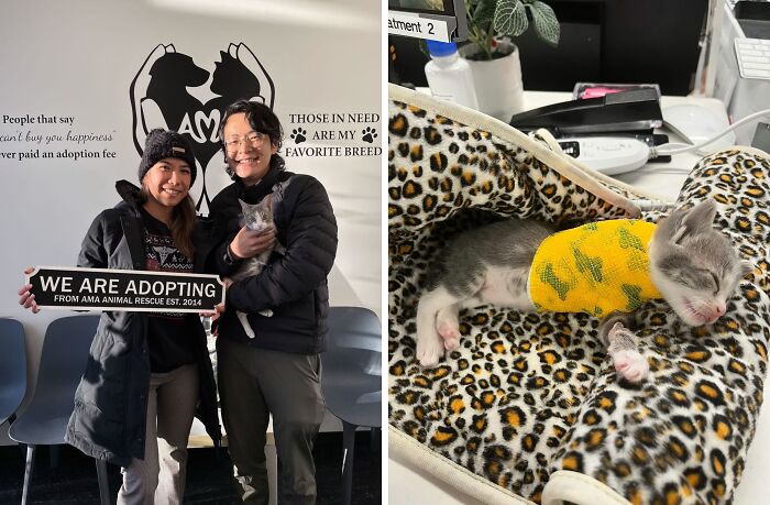 30 Adopted Animals Whose Before-And-After Stories Show The Power Of Second Chances 30 Adopted Animals Whose Before-And-After Stories Show The Power Of Second Chances