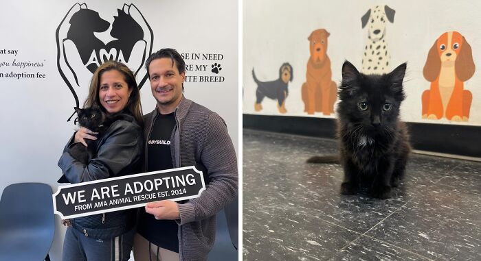 30 Adopted Animals Whose Before-And-After Stories Show The Power Of Second Chances 30 Adopted Animals Whose Before-And-After Stories Show The Power Of Second Chances