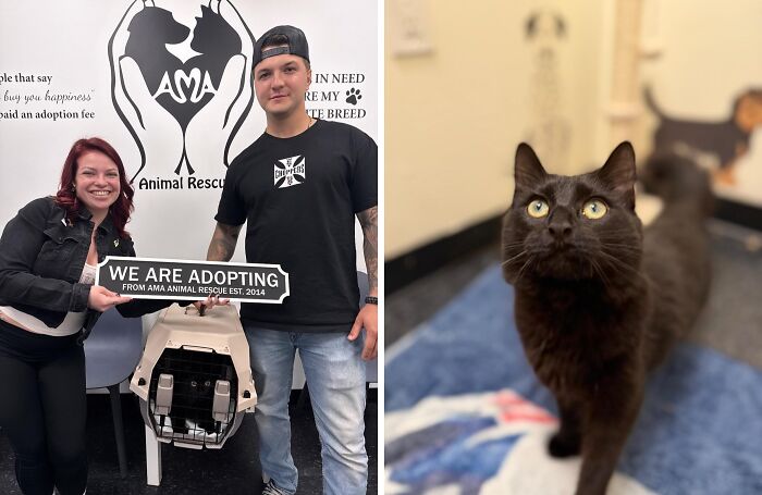 30 Adopted Animals Whose Before-And-After Stories Show The Power Of Second Chances 30 Adopted Animals Whose Before-And-After Stories Show The Power Of Second Chances