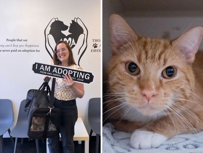 30 Adopted Animals Whose Before-And-After Stories Show The Power Of Second Chances 30 Adopted Animals Whose Before-And-After Stories Show The Power Of Second Chances