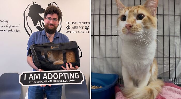 30 Adopted Animals Whose Before-And-After Stories Show The Power Of Second Chances 30 Adopted Animals Whose Before-And-After Stories Show The Power Of Second Chances