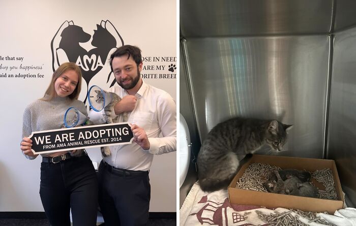 30 Adopted Animals Whose Before-And-After Stories Show The Power Of Second Chances 30 Adopted Animals Whose Before-And-After Stories Show The Power Of Second Chances