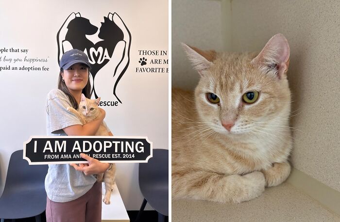 30 Adopted Animals Whose Before-And-After Stories Show The Power Of Second Chances 30 Adopted Animals Whose Before-And-After Stories Show The Power Of Second Chances