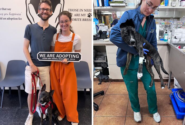 30 Adopted Animals Whose Before-And-After Stories Show The Power Of Second Chances 30 Adopted Animals Whose Before-And-After Stories Show The Power Of Second Chances