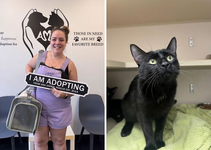 30 Adopted Animals Whose Before-And-After Stories Show The Power Of Second Chances 30 Adopted Animals Whose Before-And-After Stories Show The Power Of Second Chances