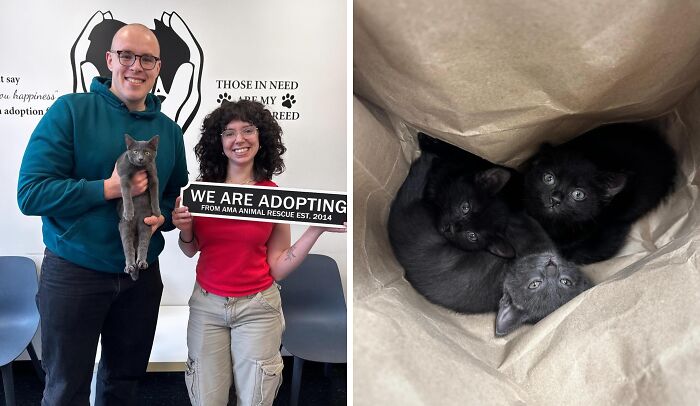 30 Adopted Animals Whose Before-And-After Stories Show The Power Of Second Chances 30 Adopted Animals Whose Before-And-After Stories Show The Power Of Second Chances