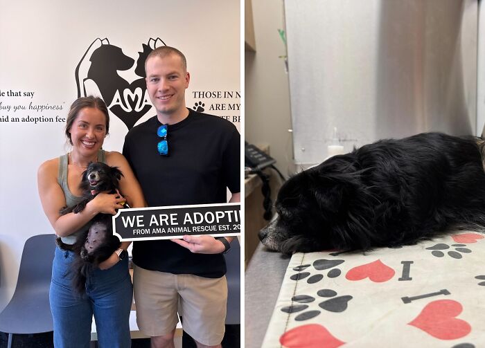 30 Adopted Animals Whose Before-And-After Stories Show The Power Of Second Chances 30 Adopted Animals Whose Before-And-After Stories Show The Power Of Second Chances