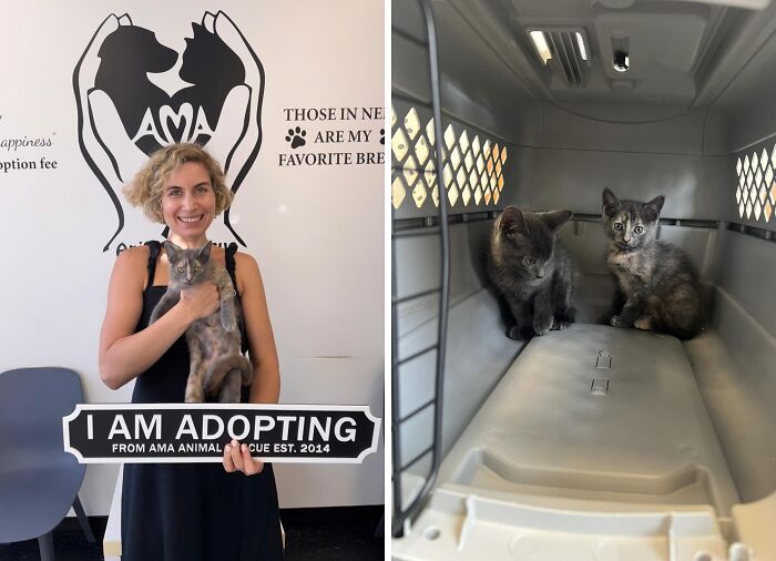 30 Adopted Animals Whose Before-And-After Stories Show The Power Of Second Chances 30 Adopted Animals Whose Before-And-After Stories Show The Power Of Second Chances