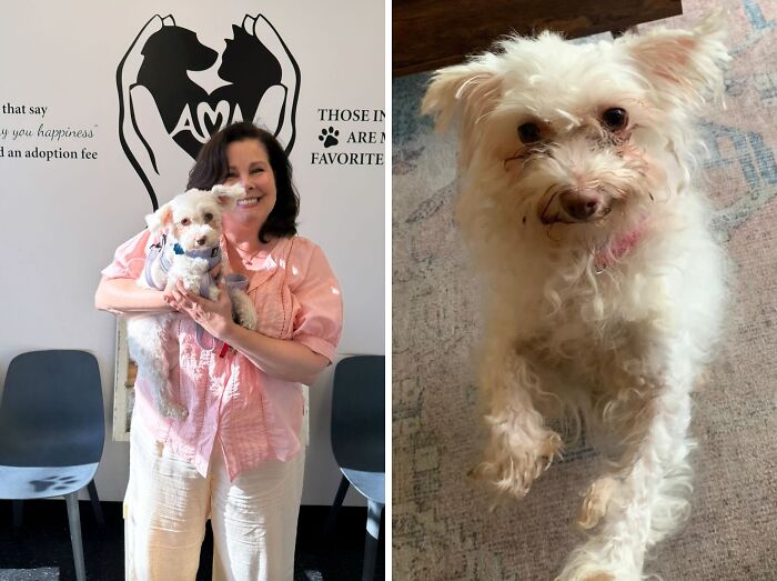 30 Adopted Animals Whose Before-And-After Stories Show The Power Of Second Chances 30 Adopted Animals Whose Before-And-After Stories Show The Power Of Second Chances