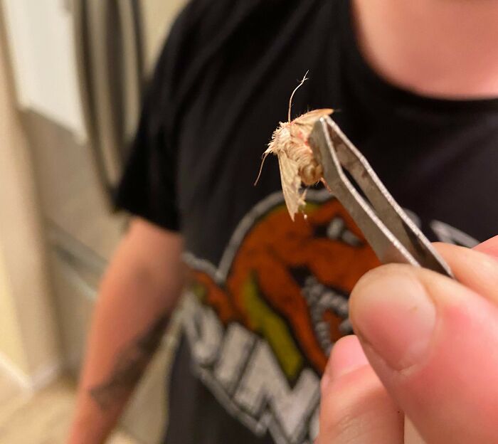 People Are Sharing The Most Unserious Reasons They Needed To Go To ER