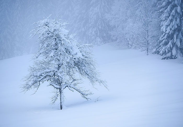 &ldquo;Clint Eastwood Has At Least 8 Children With 6 Women&rdquo;: 80 Fascinating Facts You Are Never Too Old To Learn (New Pics)