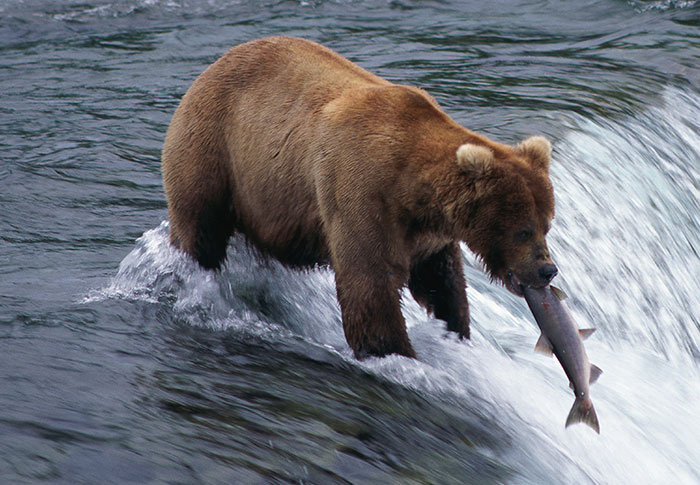 &ldquo;Clint Eastwood Has At Least 8 Children With 6 Women&rdquo;: 80 Fascinating Facts You Are Never Too Old To Learn (New Pics)