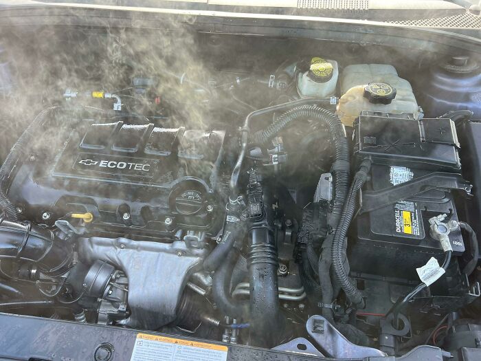 63 Times Men Tried To Assert Dominance But Made Fools Out Of Themselves