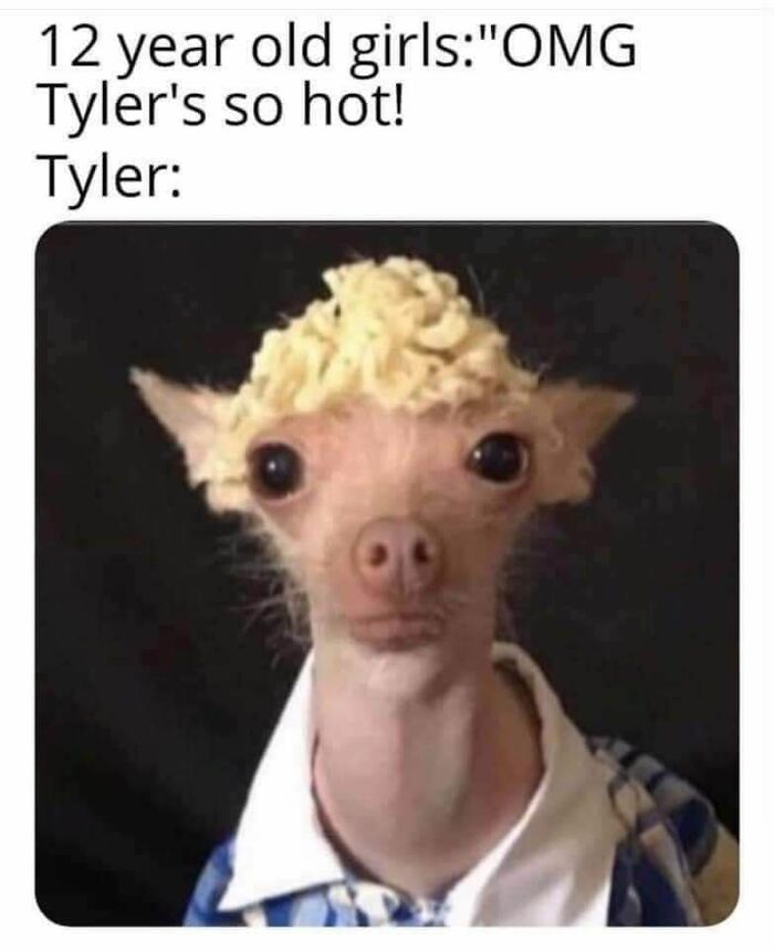 74 Funny Memes To Help Insulate You From All The Noise In The World Around You