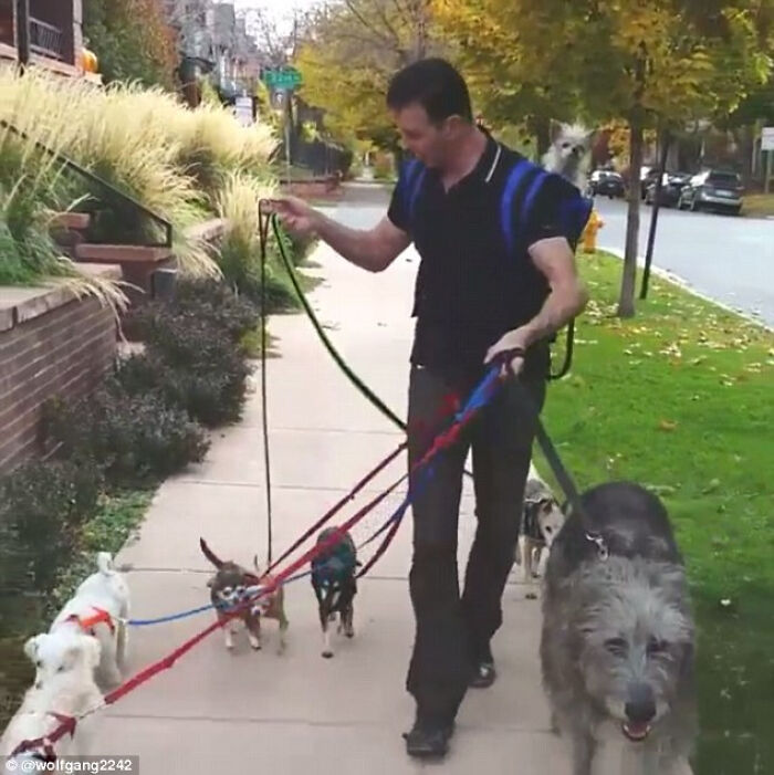 37 Wholesome Pics Showing That There’s Still Good In The World