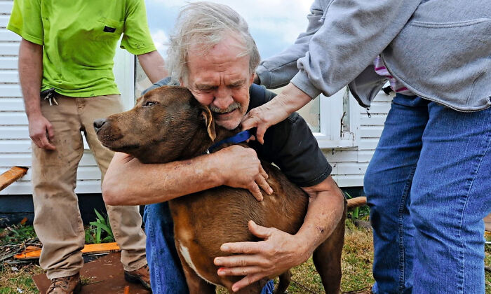 37 Wholesome Pics Showing That There’s Still Good In The World