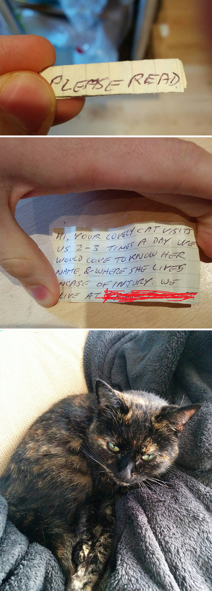 37 Wholesome Pics Showing That There’s Still Good In The World