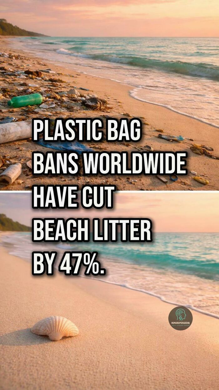 Tired Of Bad News? Here Are 64 Good Things That Happened Recently Tired Of Bad News? Here Are 64 Good Things That Happened Recently