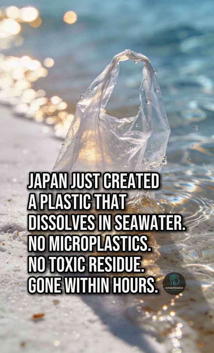 Tired Of Bad News? Here Are 64 Good Things That Happened Recently Tired Of Bad News? Here Are 64 Good Things That Happened Recently