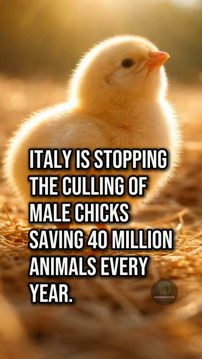 Tired Of Bad News? Here Are 64 Good Things That Happened Recently Tired Of Bad News? Here Are 64 Good Things That Happened Recently