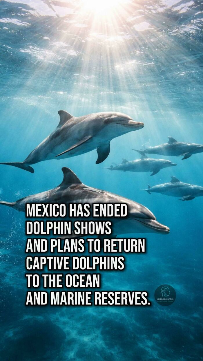 Tired Of Bad News? Here Are 64 Good Things That Happened Recently Tired Of Bad News? Here Are 64 Good Things That Happened Recently