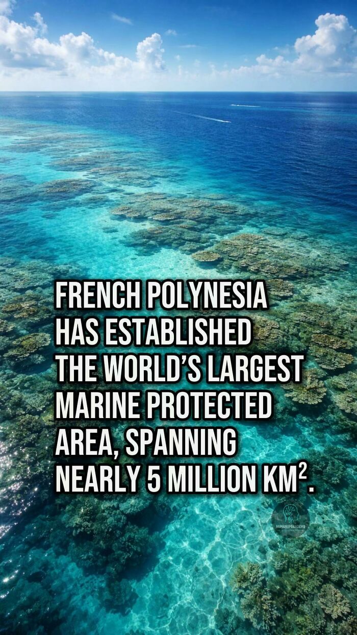 Tired Of Bad News? Here Are 64 Good Things That Happened Recently Tired Of Bad News? Here Are 64 Good Things That Happened Recently