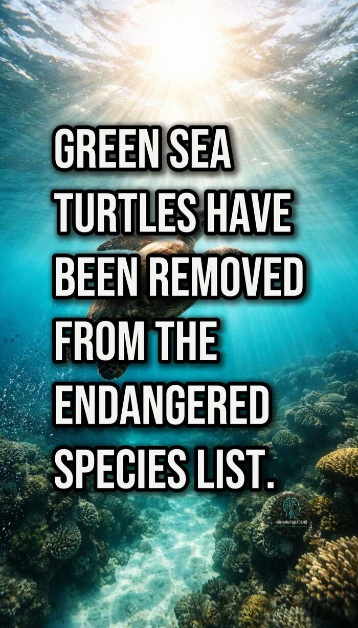 Tired Of Bad News? Here Are 64 Good Things That Happened Recently Tired Of Bad News? Here Are 64 Good Things That Happened Recently