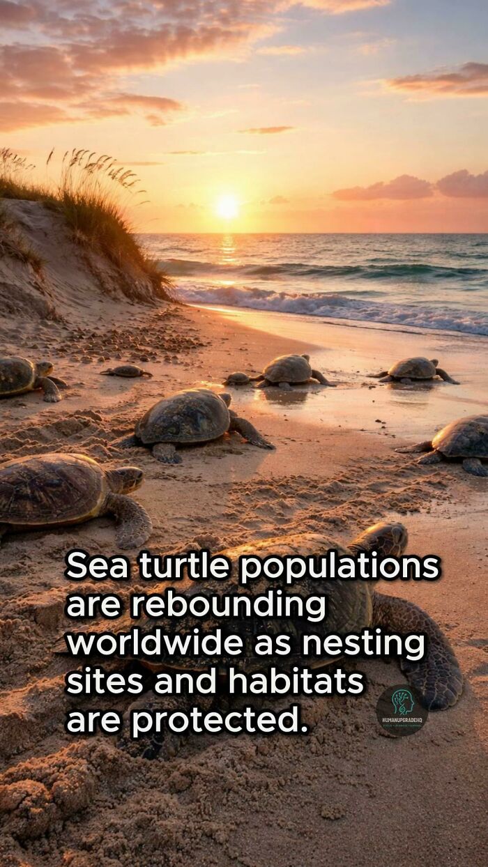 Tired Of Bad News? Here Are 64 Good Things That Happened Recently Tired Of Bad News? Here Are 64 Good Things That Happened Recently