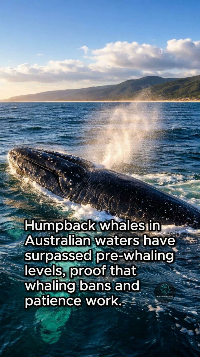 Tired Of Bad News? Here Are 64 Good Things That Happened Recently Tired Of Bad News? Here Are 64 Good Things That Happened Recently