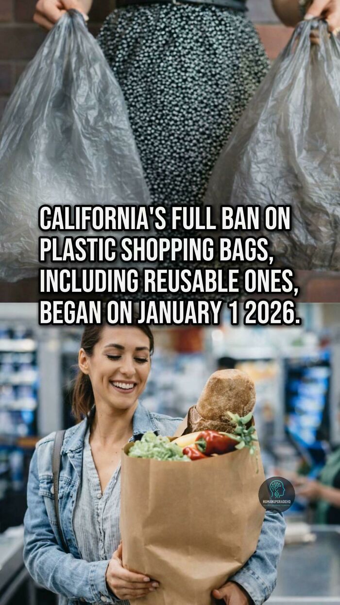 Tired Of Bad News? Here Are 64 Good Things That Happened Recently Tired Of Bad News? Here Are 64 Good Things That Happened Recently