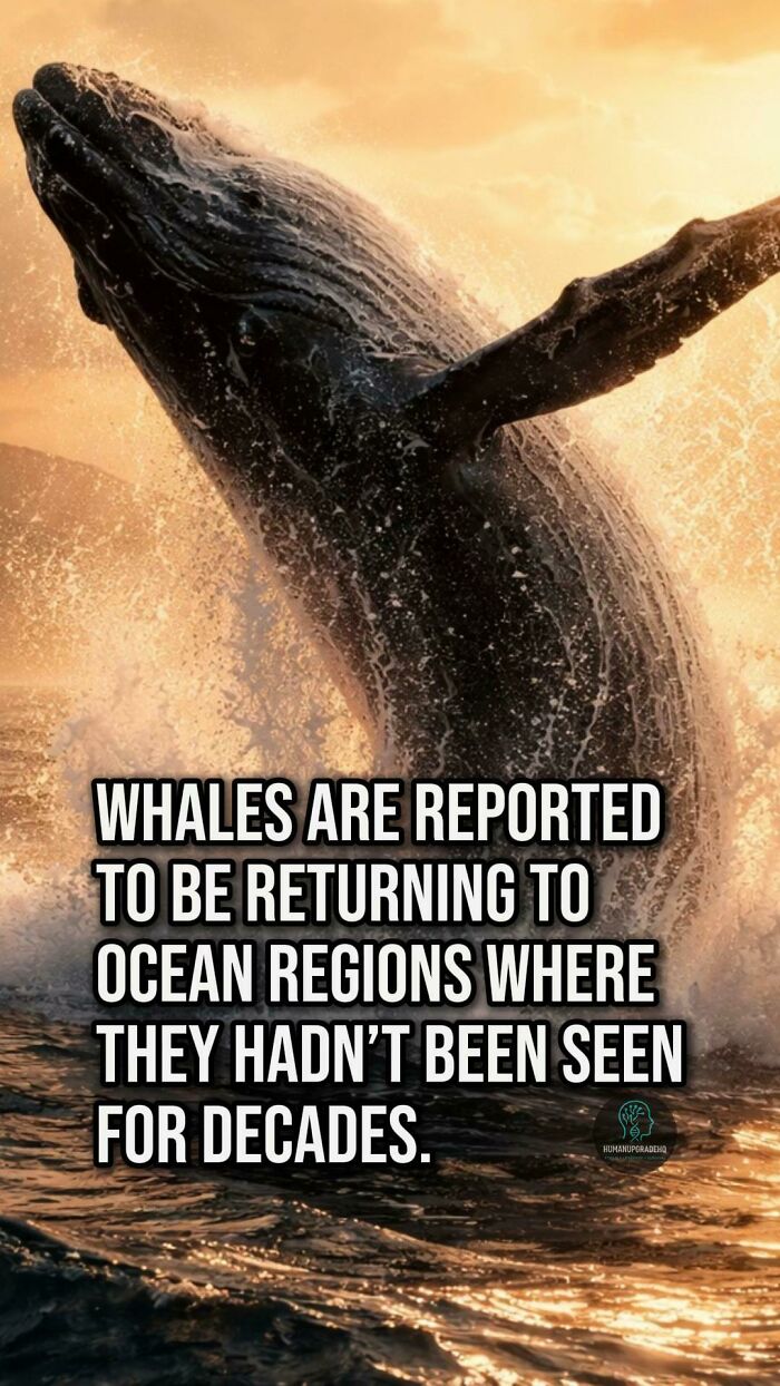 Tired Of Bad News? Here Are 64 Good Things That Happened Recently Tired Of Bad News? Here Are 64 Good Things That Happened Recently