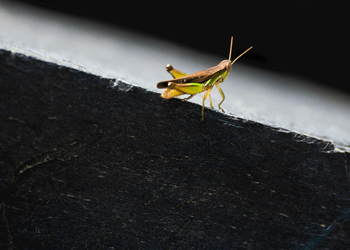 80 People Share The Exact Second Their Attraction Ended Because Of A Weird Ick They Got