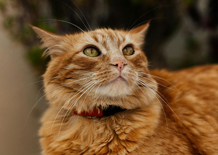 80 People Share The Exact Second Their Attraction Ended Because Of A Weird Ick They Got