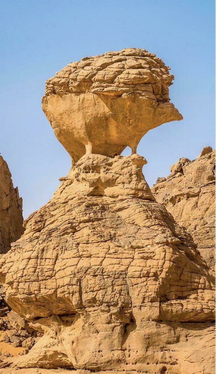 ‘Absolute Units’: 82 Times People Saw Something So Big, They Just Had To Share (New Pics) ‘Absolute Units’: 82 Times People Saw Something So Big, They Just Had To Share (New Pics)