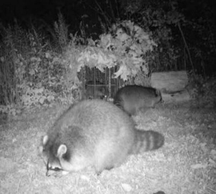 ‘Absolute Units’: 82 Times People Saw Something So Big, They Just Had To Share (New Pics) ‘Absolute Units’: 82 Times People Saw Something So Big, They Just Had To Share (New Pics)