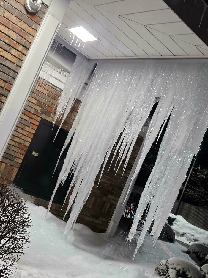 ‘Absolute Units’: 82 Times People Saw Something So Big, They Just Had To Share (New Pics) ‘Absolute Units’: 82 Times People Saw Something So Big, They Just Had To Share (New Pics)