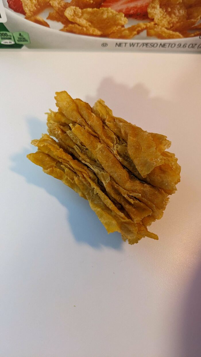 ‘Absolute Units’: 82 Times People Saw Something So Big, They Just Had To Share (New Pics) ‘Absolute Units’: 82 Times People Saw Something So Big, They Just Had To Share (New Pics)