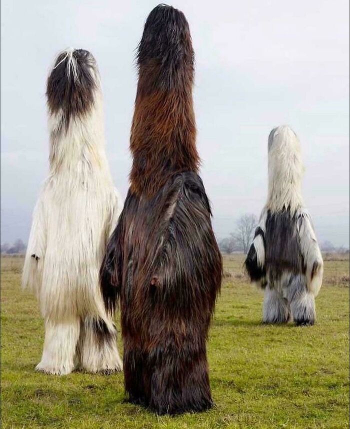 ‘Absolute Units’: 82 Times People Saw Something So Big, They Just Had To Share (New Pics) ‘Absolute Units’: 82 Times People Saw Something So Big, They Just Had To Share (New Pics)