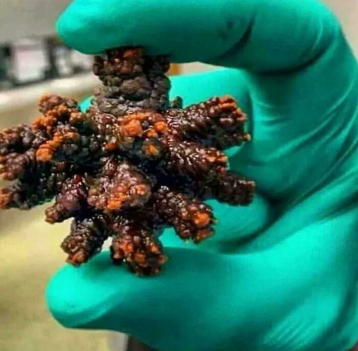 ‘Absolute Units’: 82 Times People Saw Something So Big, They Just Had To Share (New Pics) ‘Absolute Units’: 82 Times People Saw Something So Big, They Just Had To Share (New Pics)