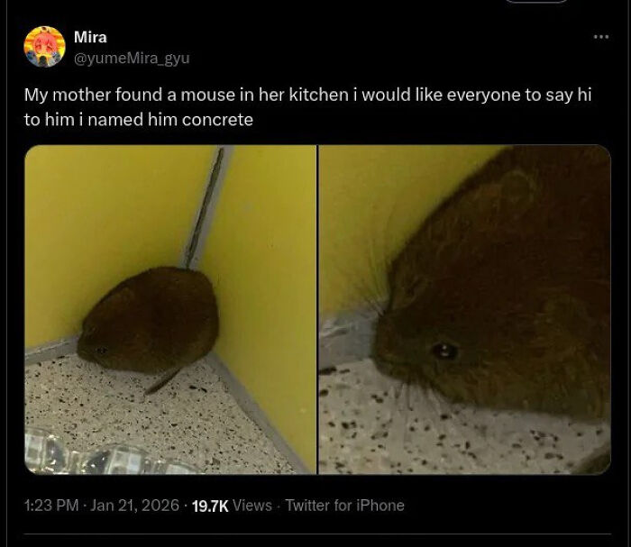 ‘Absolute Units’: 82 Times People Saw Something So Big, They Just Had To Share (New Pics) ‘Absolute Units’: 82 Times People Saw Something So Big, They Just Had To Share (New Pics)